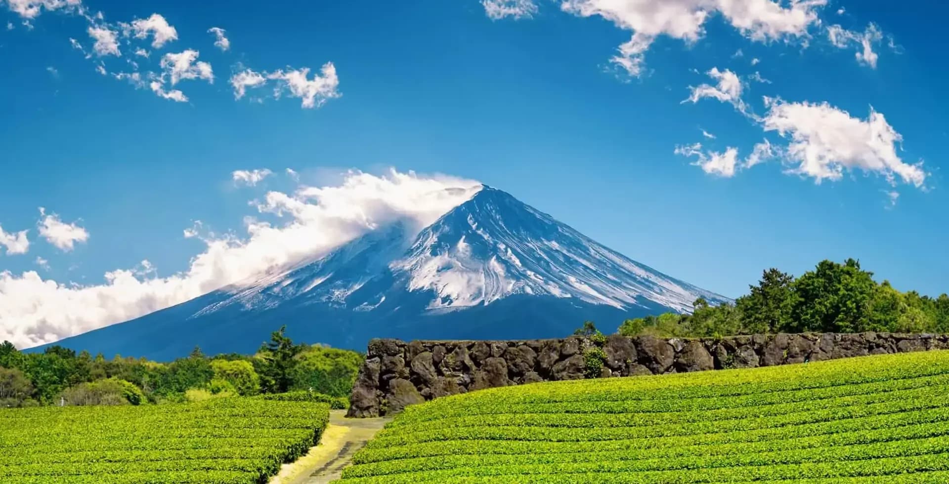 Shizuoka - Japan