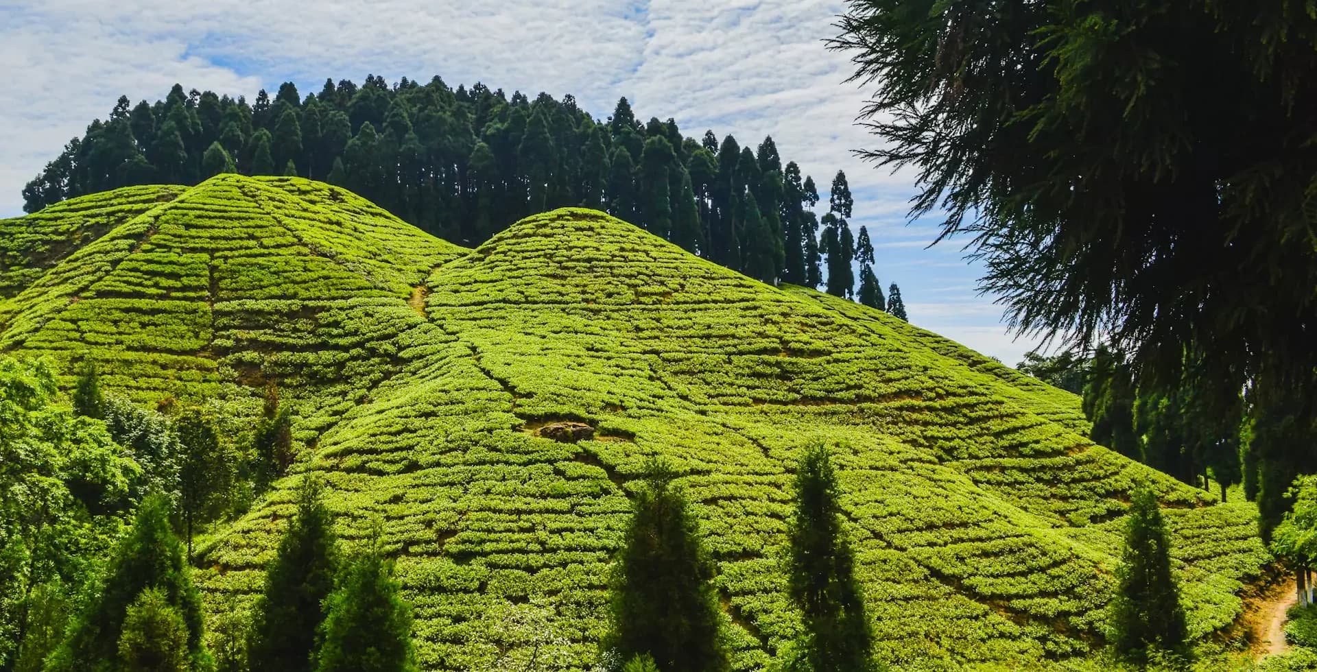 Darjeeling