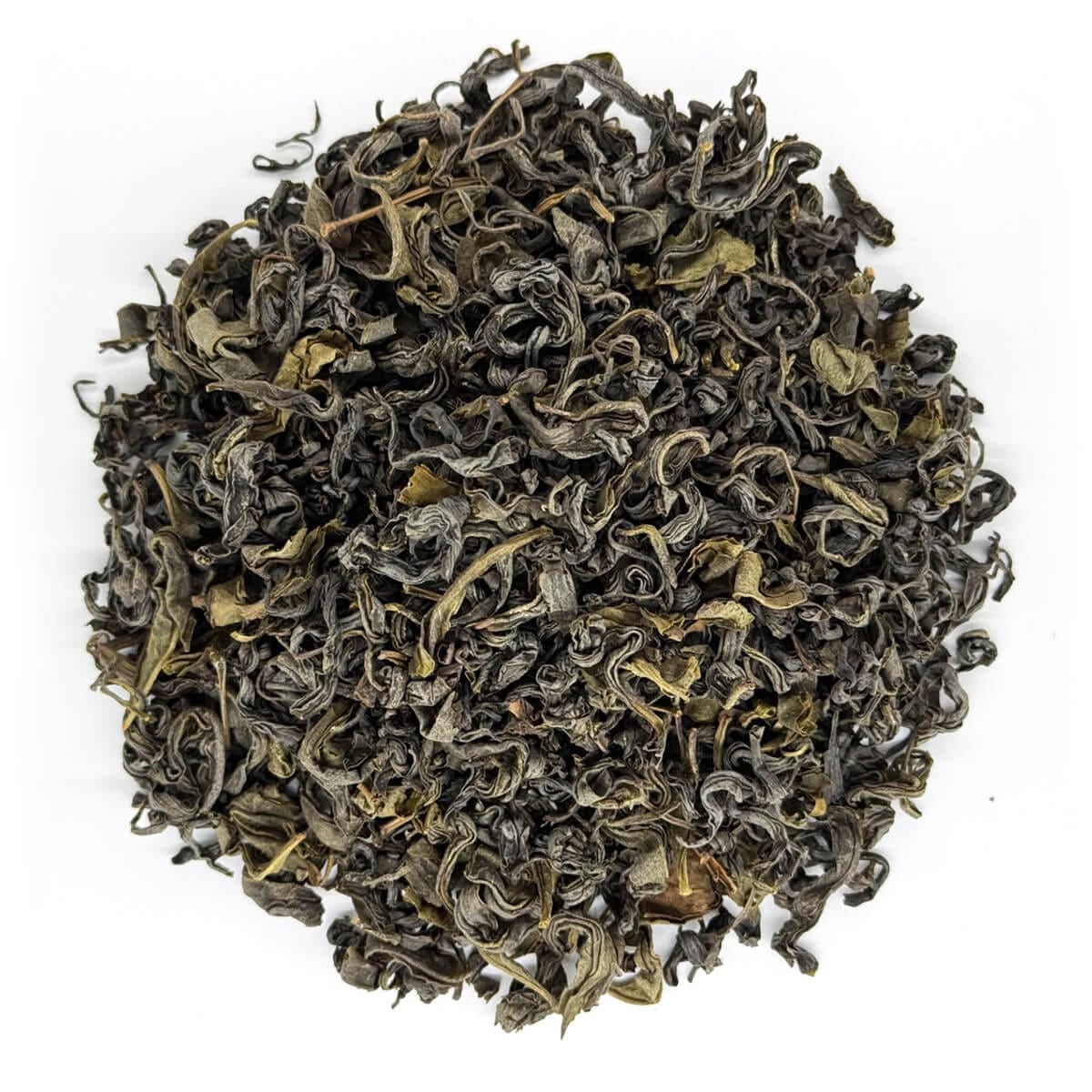 Oolong Shizuoka Shimada Z1 2024