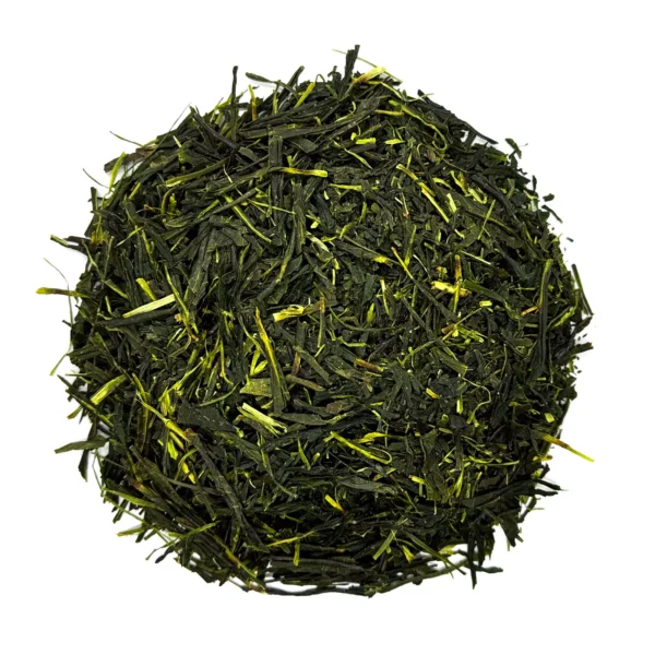 Sencha Koshun 2024